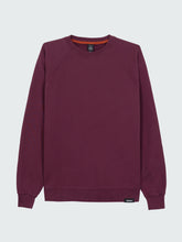 Men Organic Cotton Sweatshirt in Purple - Coho