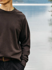 Men Organic Cotton Sweatshirt in Brown - Coho