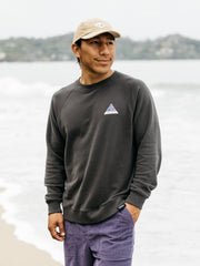 Men Organic Cotton Sweatshirt in Black - Future Wave